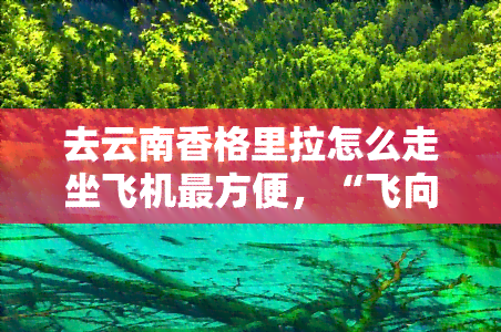 去云南香格里拉怎么走坐飞机最方便，“飞向神秘的天堂：去云南香格里拉的更佳飞行路线”