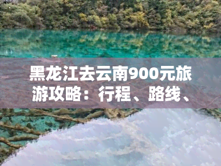 黑龙江去云南900元旅游攻略：行程、路线、报价及自驾游信息，是否需要隔离？