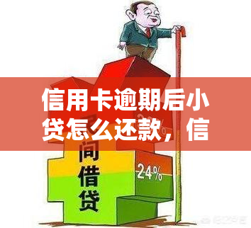 信用卡逾期后小贷怎么还款，信用卡逾期后，如何还款小贷？