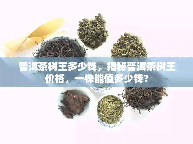 普洱茶树王多少钱，揭秘普洱茶树王价格，一株能值多少钱？