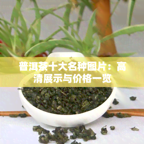 普洱茶十大名种图片：高清展示与价格一览