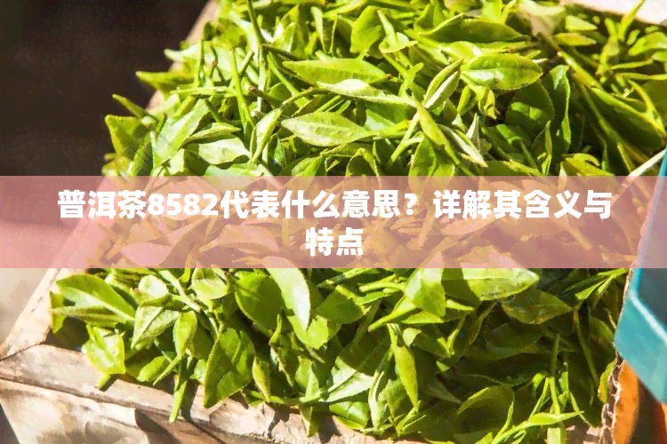 普洱茶8582代表什么意思？详解其含义与特点