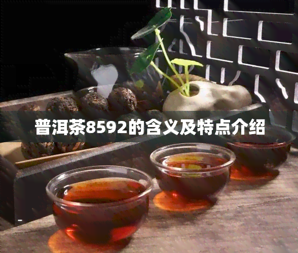 普洱茶8592的含义及特点介绍