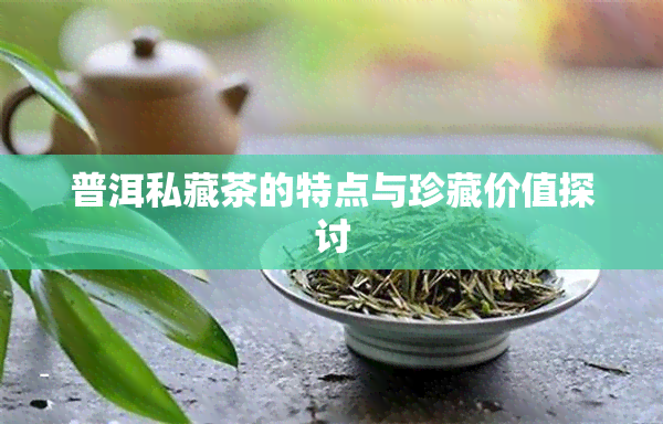 普洱私藏茶的特点与珍藏价值探讨