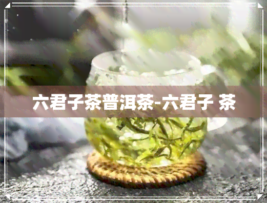 六君子茶普洱茶-六君子 茶