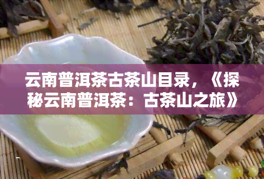 云南普洱茶古茶山目录，《探秘云南普洱茶：古茶山之旅》