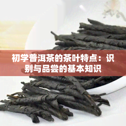 初学普洱茶的茶叶特点：识别与品尝的基本知识