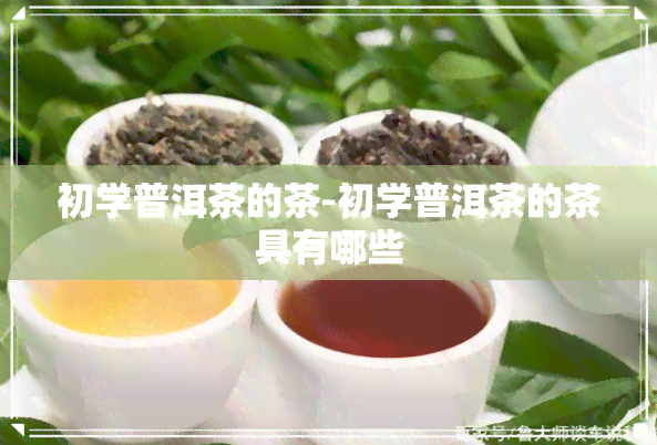 初学普洱茶的茶-初学普洱茶的茶具有哪些