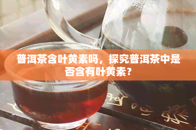 普洱茶含叶黄素吗，探究普洱茶中是否含有叶黄素？