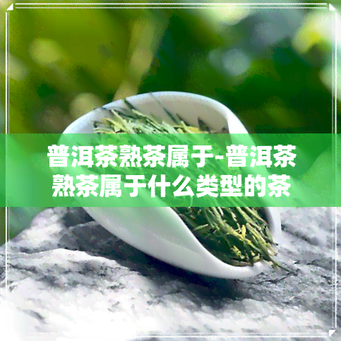 普洱茶熟茶属于-普洱茶熟茶属于什么类型的茶