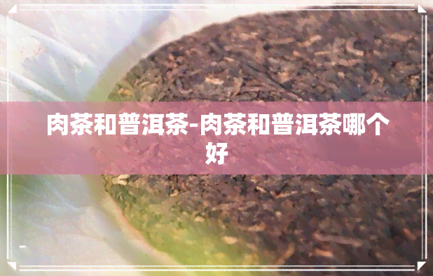 肉茶和普洱茶-肉茶和普洱茶哪个好