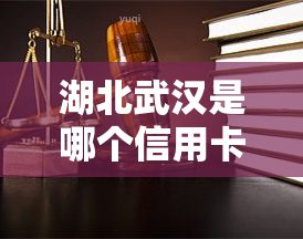 湖北武汉是哪个信用卡？网贷公司催款真实情况如何？