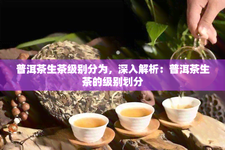 普洱茶生茶级别分为，深入解析：普洱茶生茶的级别划分