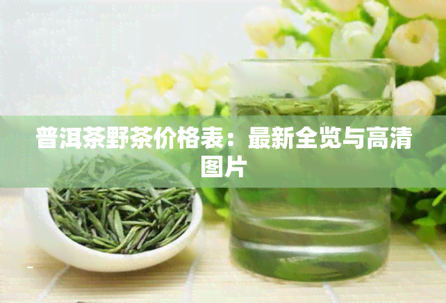 普洱茶野茶价格表：最新全览与高清图片