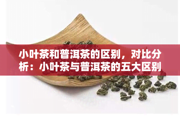 小叶茶和普洱茶的区别，对比分析：小叶茶与普洱茶的五大区别