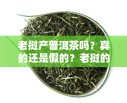 老挝产普洱茶吗？真的还是假的？老挝的普洱茶品质如何？有哪些茶叶品种？