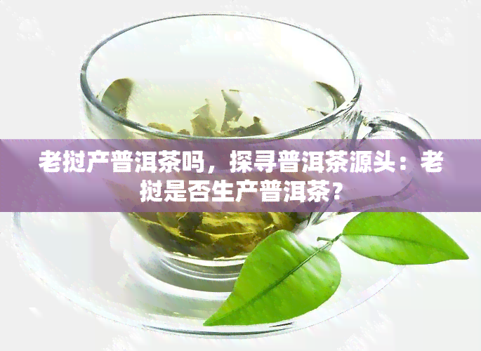 老挝产普洱茶吗，探寻普洱茶源头：老挝是否生产普洱茶？