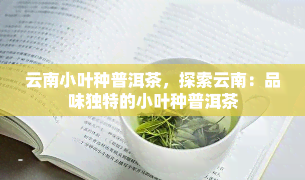 云南小叶种普洱茶，探索云南：品味独特的小叶种普洱茶