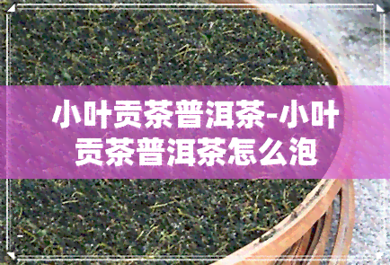 小叶贡茶普洱茶-小叶贡茶普洱茶怎么泡