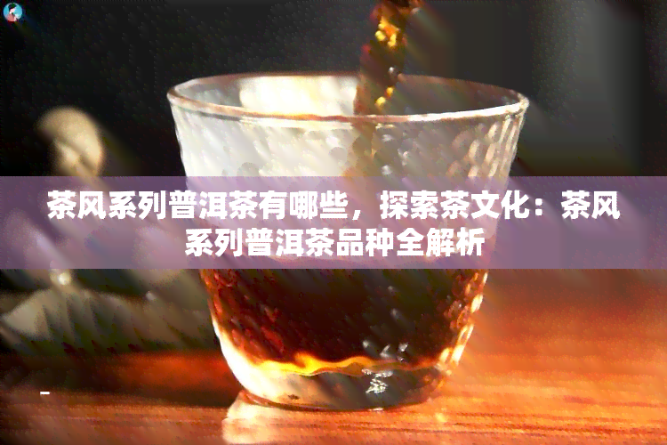 茶风系列普洱茶有哪些，探索茶文化：茶风系列普洱茶品种全解析