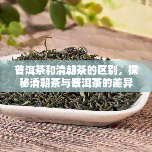 普洱茶和清朝茶的区别，探秘清朝茶与普洱茶的差异