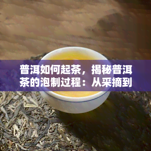 普洱如何起茶，揭秘普洱茶的泡制过程：从采摘到品茗的每一个步骤