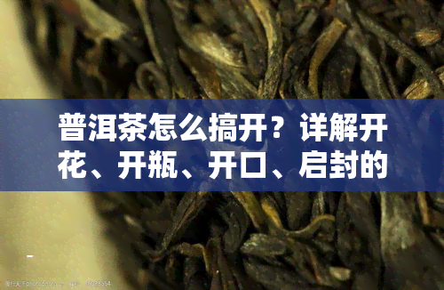 普洱茶怎么搞开？详解开花、开瓶、开口、启封的各种方法