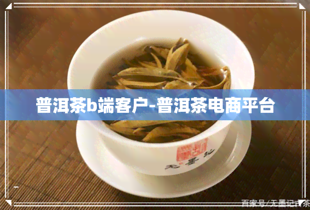 普洱茶b端客户-普洱茶电商平台