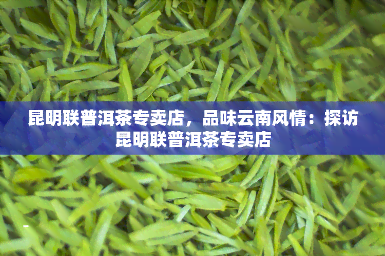 昆明联普洱茶专卖店，品味云南风情：探访昆明联普洱茶专卖店