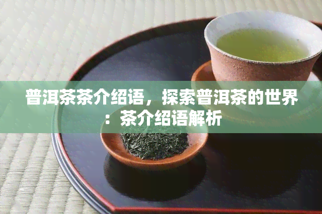 普洱茶茶介绍语，探索普洱茶的世界：茶介绍语解析