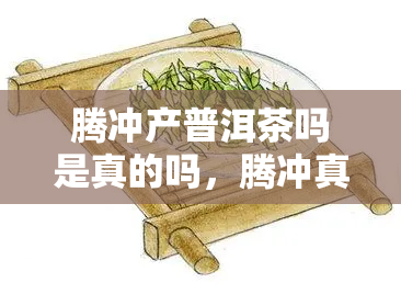 腾冲产普洱茶吗是真的吗，腾冲真的产普洱茶吗？