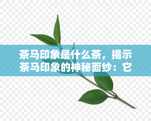 茶马印象是什么茶，揭示茶马印象的神秘面纱：它究竟是什么茶？