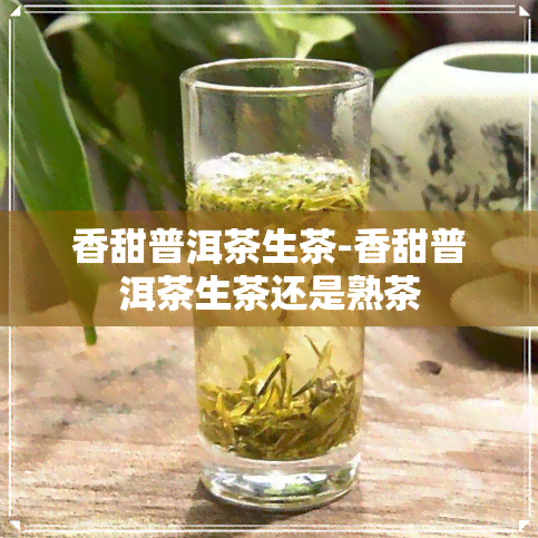 香甜普洱茶生茶-香甜普洱茶生茶还是熟茶