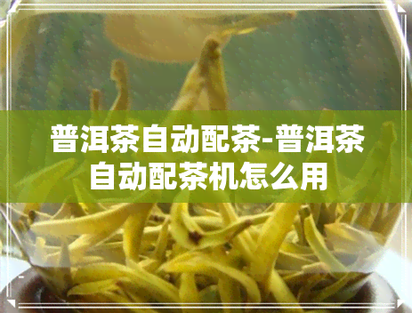 普洱茶自动配茶-普洱茶自动配茶机怎么用