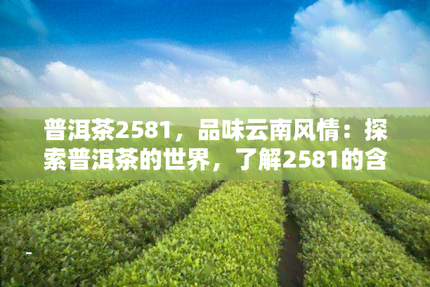 普洱茶2581，品味云南风情：探索普洱茶的世界，了解2581的含义与魅力