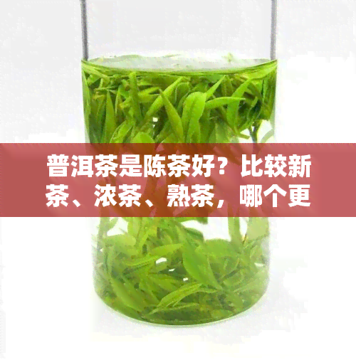 普洱茶是陈茶好？比较新茶、浓茶、熟茶，哪个更适合你的口味？