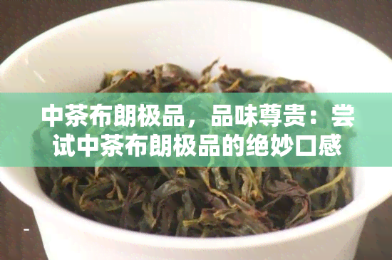 中茶布朗极品，品味尊贵：尝试中茶布朗极品的绝妙口感