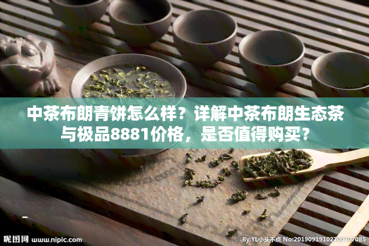 中茶布朗青饼怎么样？详解中茶布朗生态茶与极品8881价格，是否值得购买？