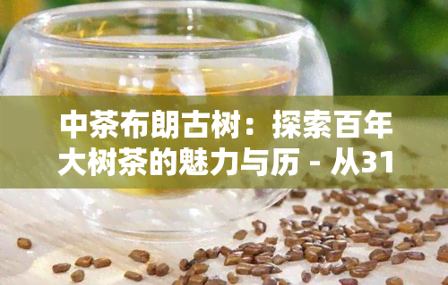 中茶布朗古树：探索百年大树茶的魅力与历 - 从3111到2000年的传承与发展