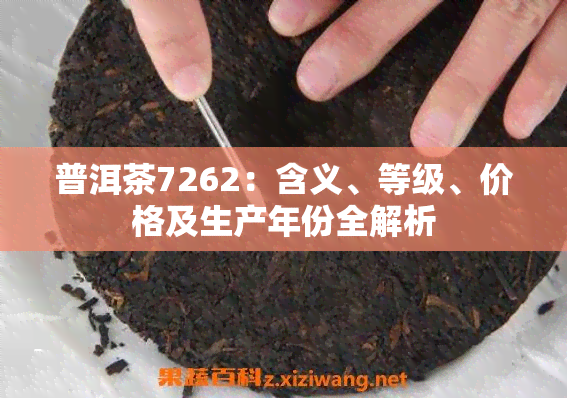 普洱茶7262：含义、等级、价格及生产年份全解析