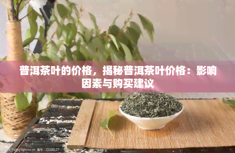 普洱茶叶的价格，揭秘普洱茶叶价格：影响因素与购买建议