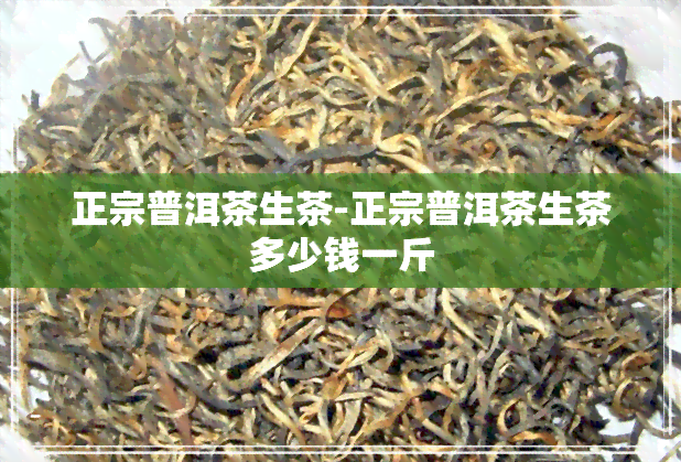 正宗普洱茶生茶-正宗普洱茶生茶多少钱一斤