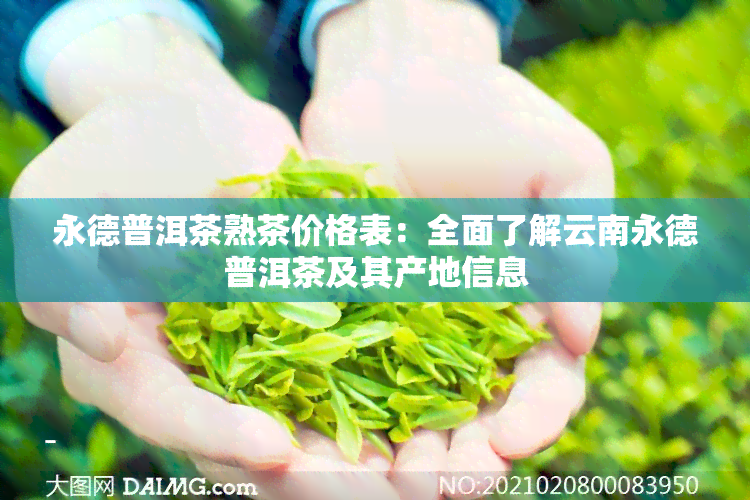 永德普洱茶熟茶价格表：全面了解云南永德普洱茶及其产地信息