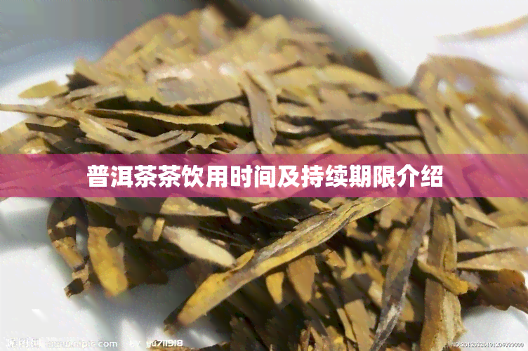 普洱茶茶饮用时间及持续期限介绍