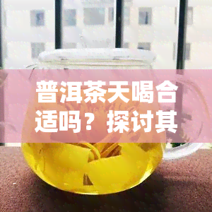 普洱茶天喝合适吗？探讨其适合饮用的原因与注意事