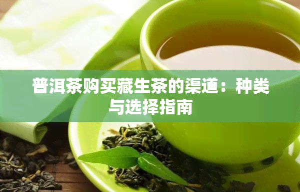 普洱茶购买藏生茶的渠道：种类与选择指南