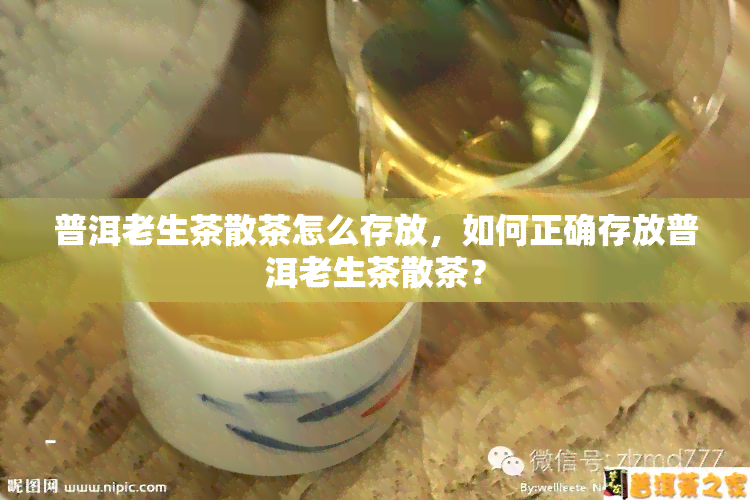 普洱老生茶散茶怎么存放，如何正确存放普洱老生茶散茶？