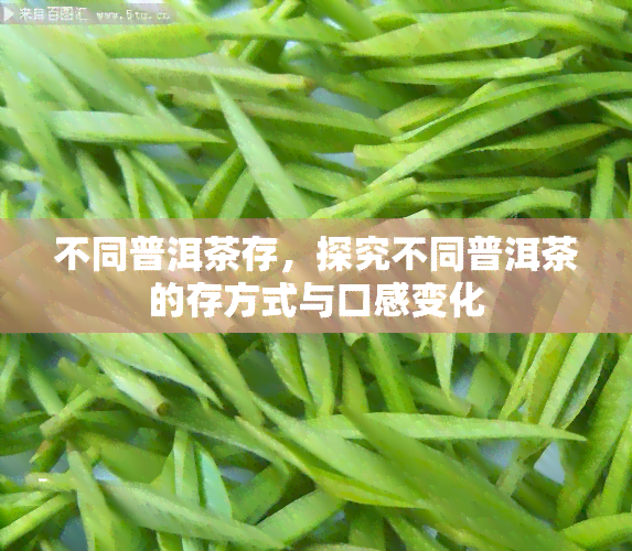 不同普洱茶存，探究不同普洱茶的存方式与口感变化