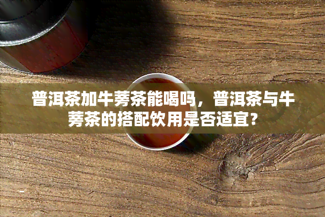 普洱茶加牛蒡茶能喝吗，普洱茶与牛蒡茶的搭配饮用是否适宜？