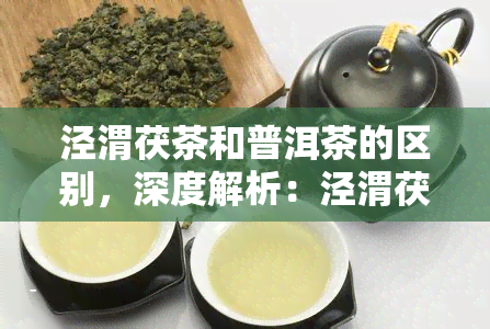 泾渭茯茶和普洱茶的区别，深度解析：泾渭茯茶与普洱茶的五大区别